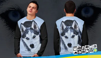 Свитшоты с полной запечаткой: бег хаски